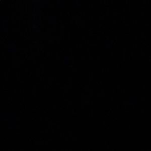 Meet your Posher, Devin